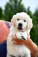 /album/fotogalerie/atomic-profil-jpg/